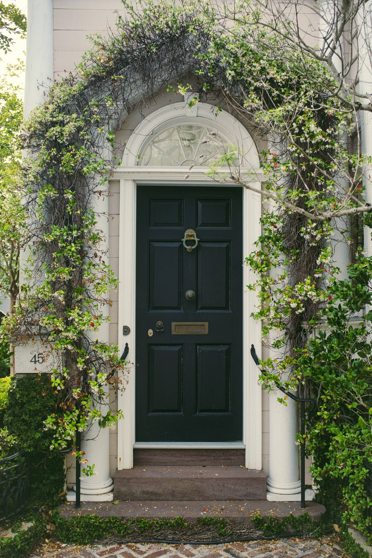 Vintage Dark Green Wood Door Background