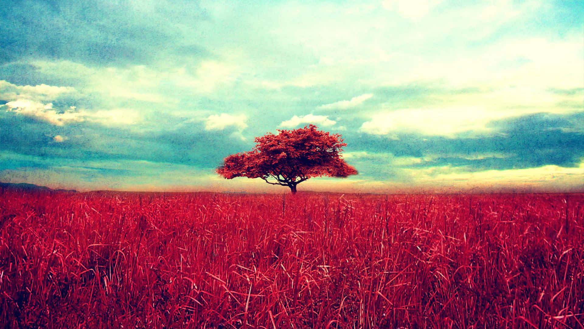 Vintage Desktop Tree And Sky Background