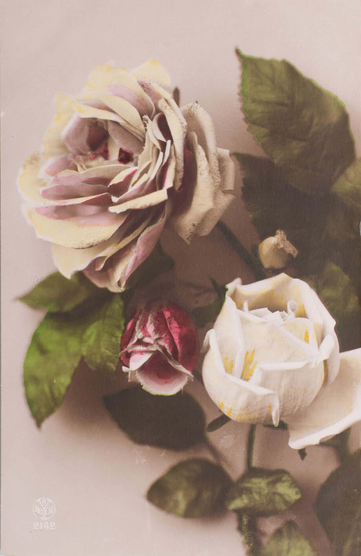 Vintage_ Faded_ Roses_1920s_ Style