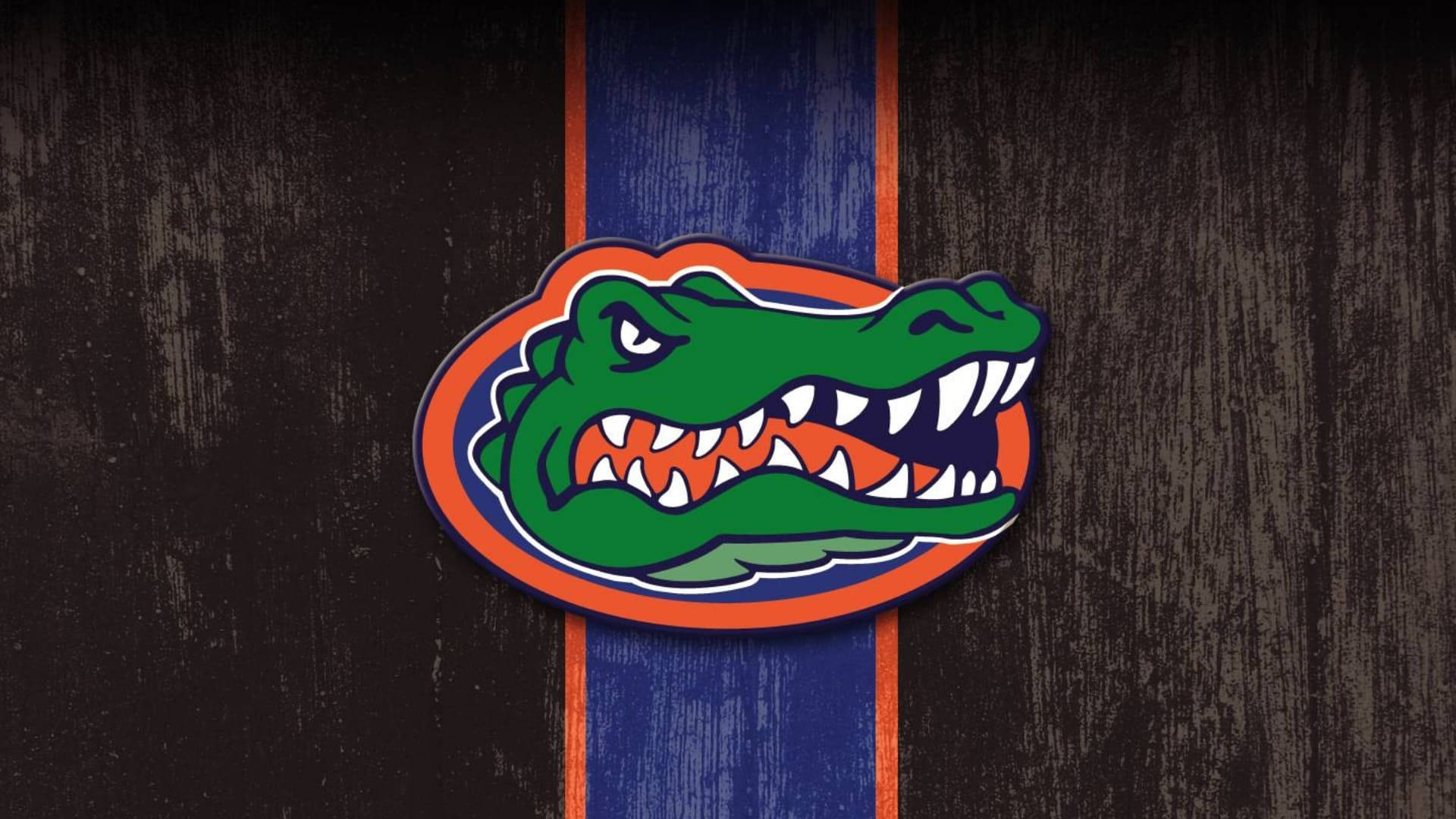 Vintage Florida Gators Logo Background