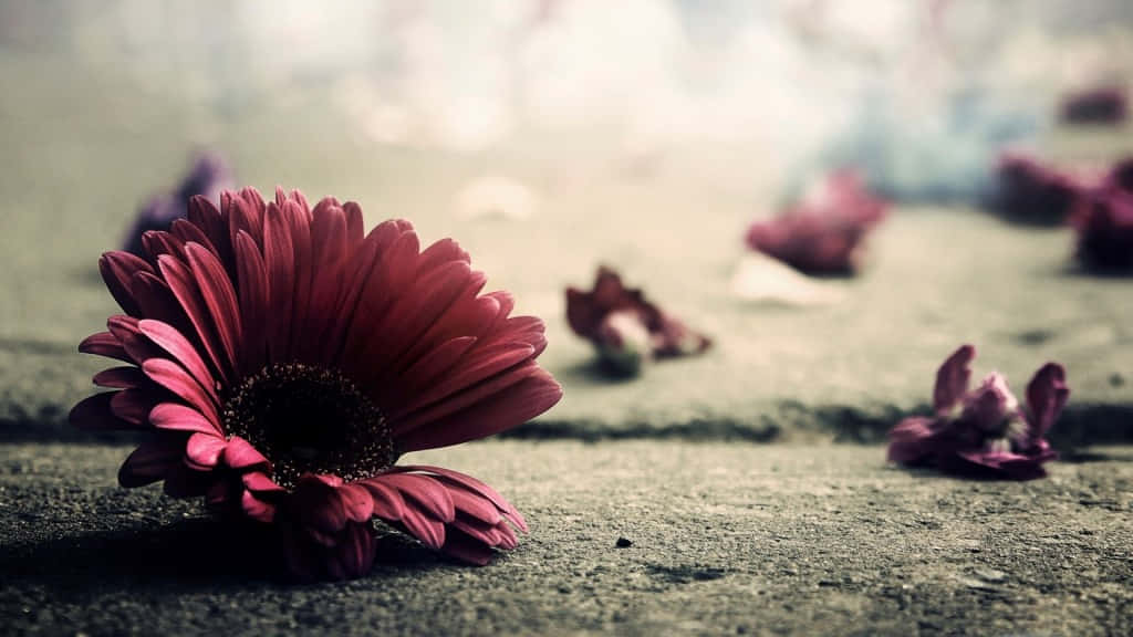 Vintage Flower On The Ground Background