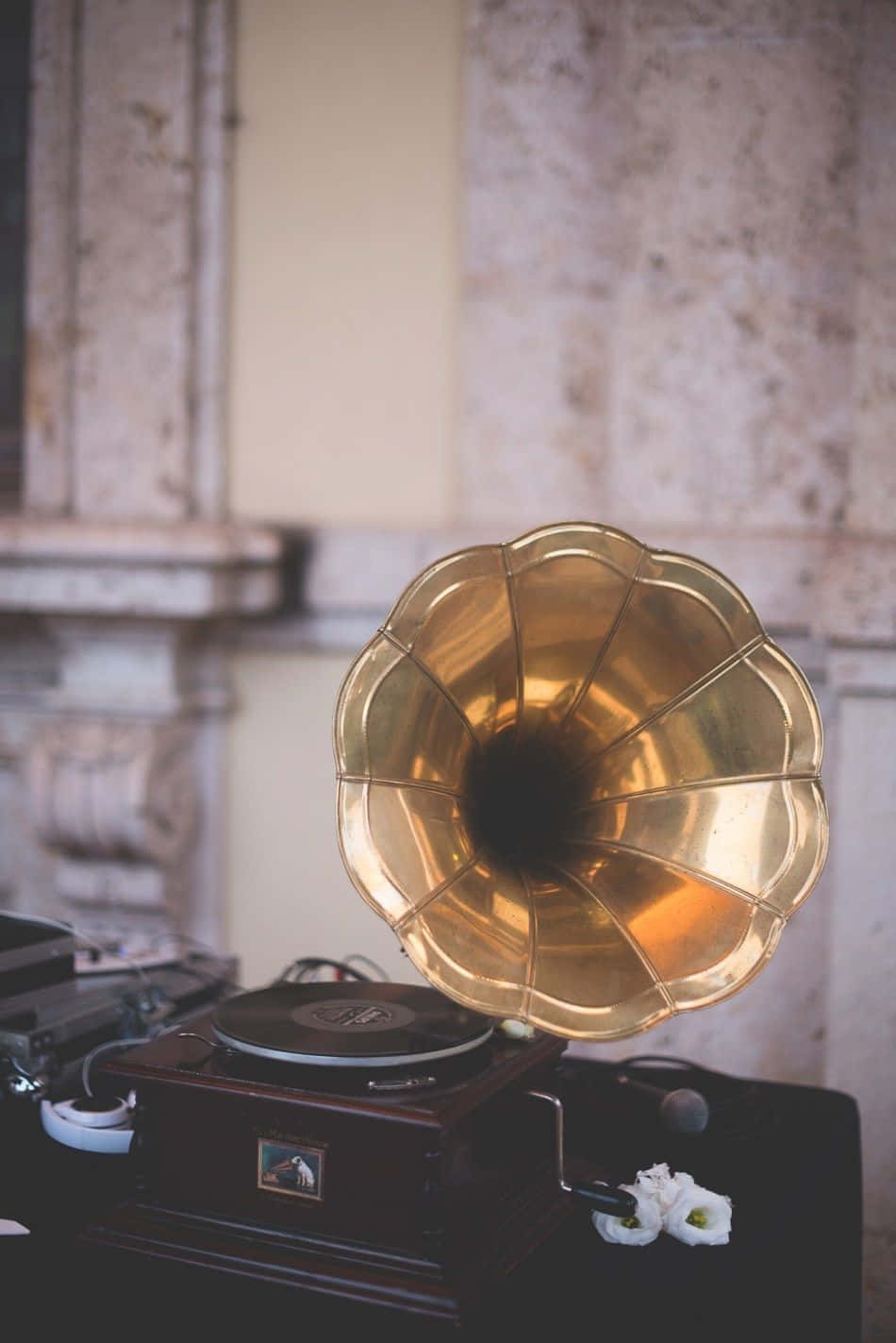 Vintage Gramophonewith Flower1920s Elegance