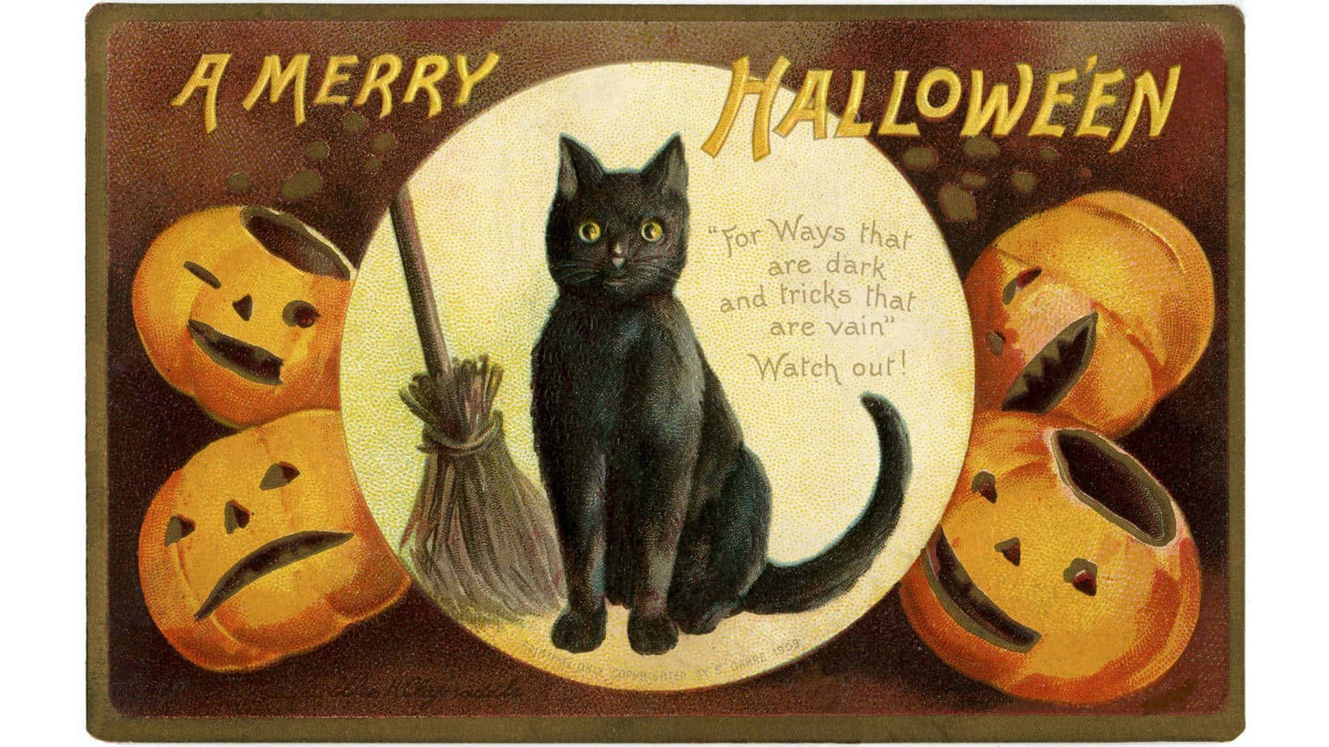 Vintage Halloween Postcardwith Black Catand Pumpkins Background