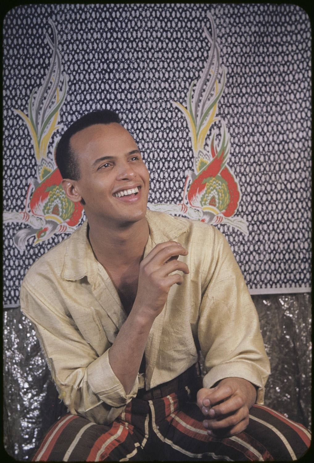 Vintage Harry Belafonte Singer Background