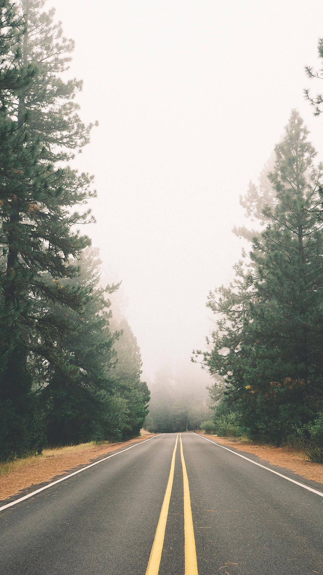 Vintage Iphone Nature Trees And Empty Road