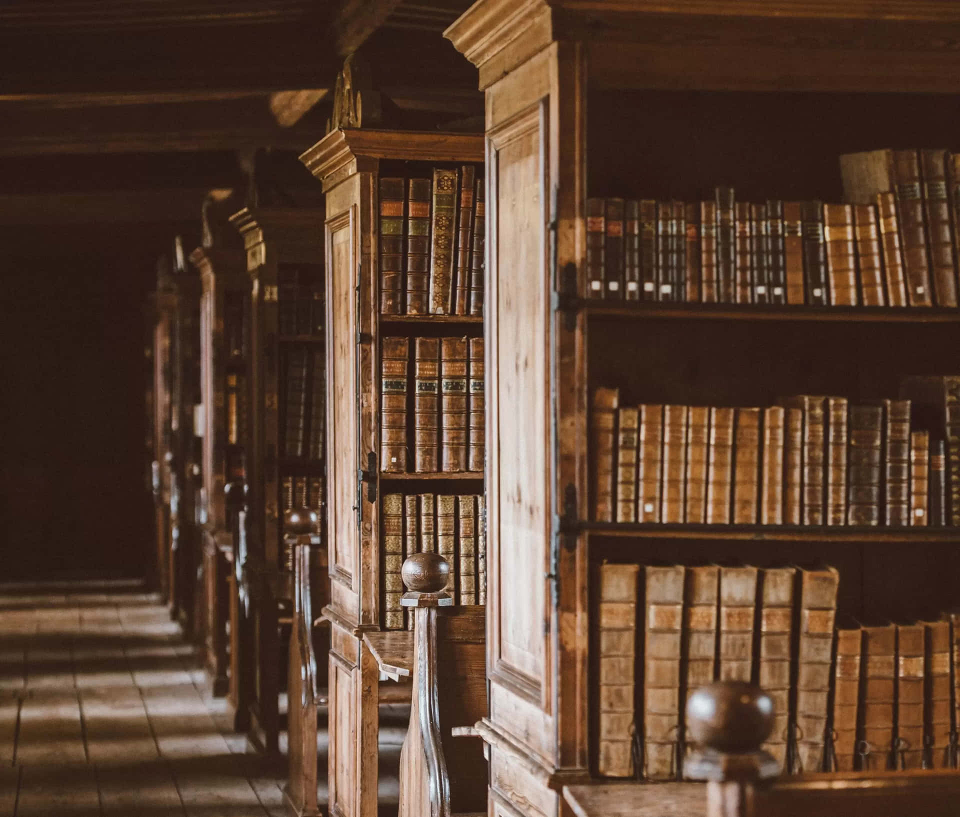 Vintage Library Bookshelves