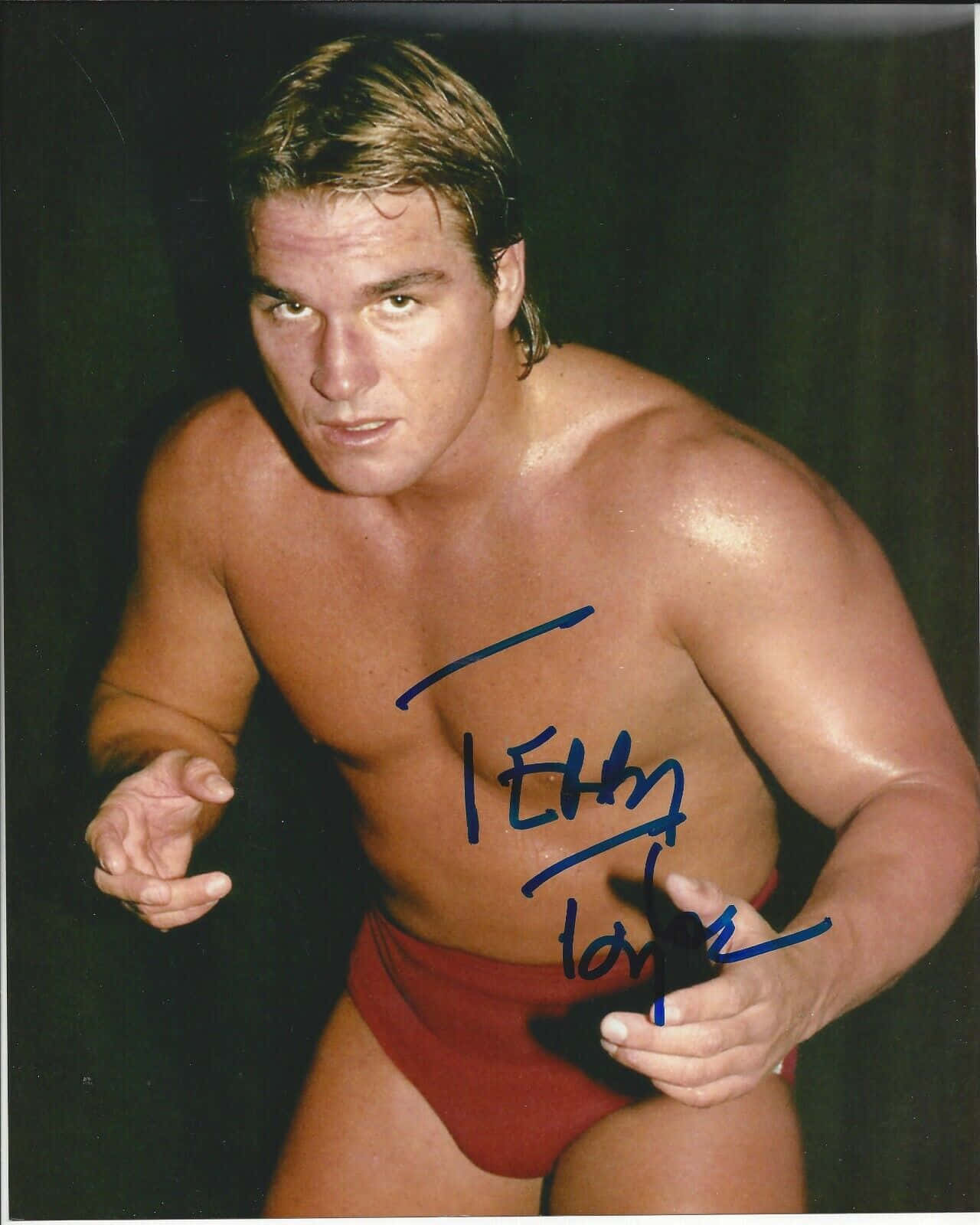 Vintage Memorabilia Terry Taylor Background
