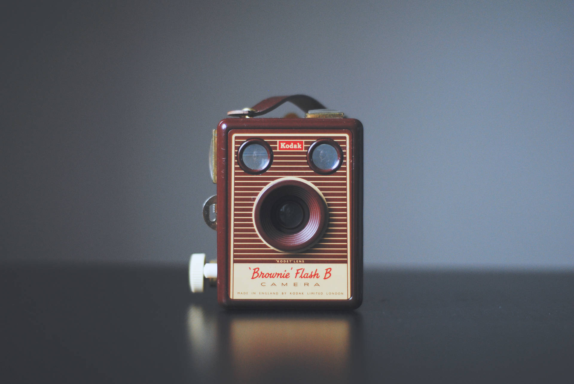 Vintage Minimalist Brown Camera