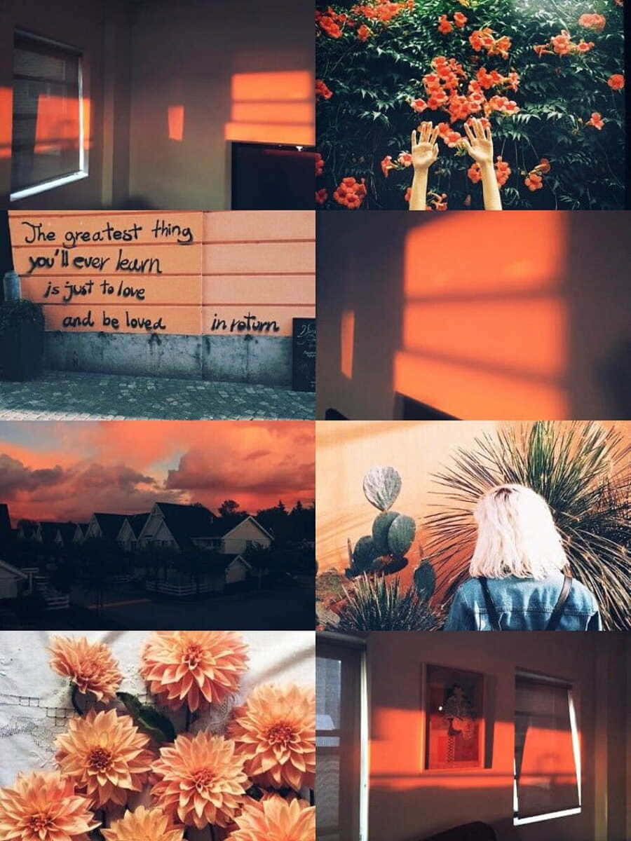 Vintage Orange Aesthetic Collage Background