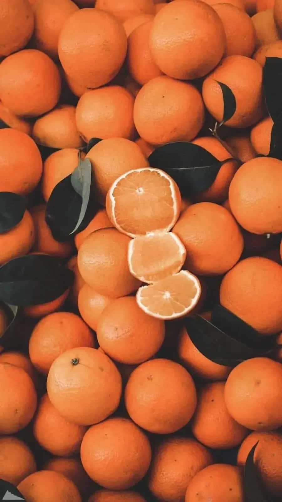 Vintage Orange Aesthetic Orangesand Leaves Background