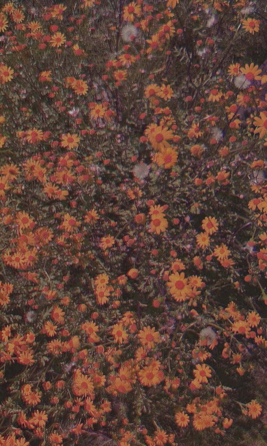 Vintage Orange Floral Texture Background