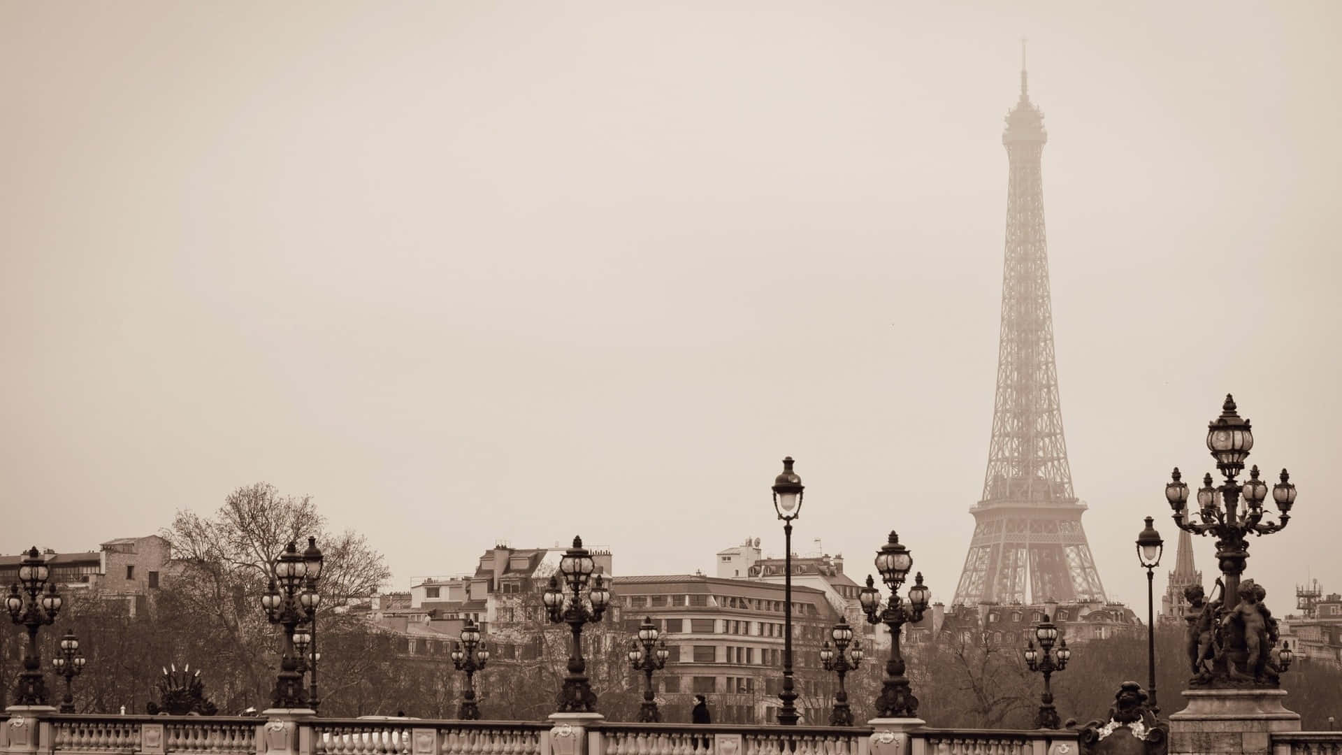 Vintage Paris Eiffel Tower View