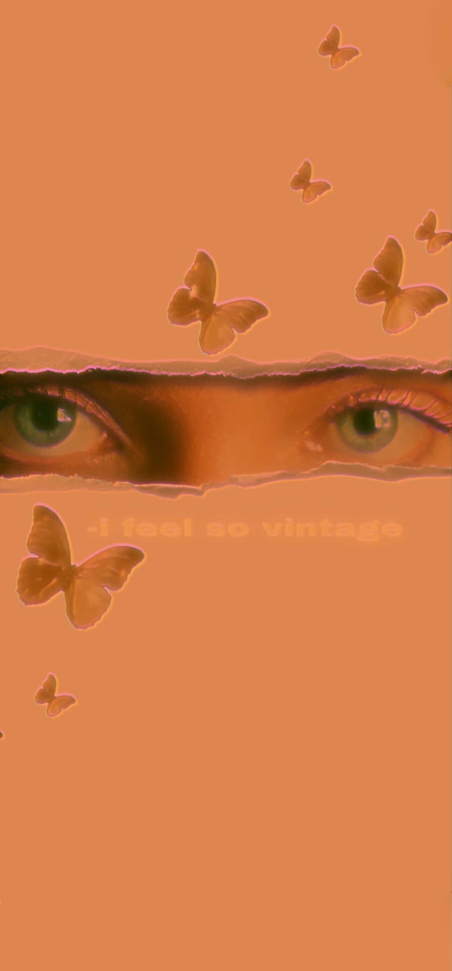 Vintage Peach Butterflies Eyes Background