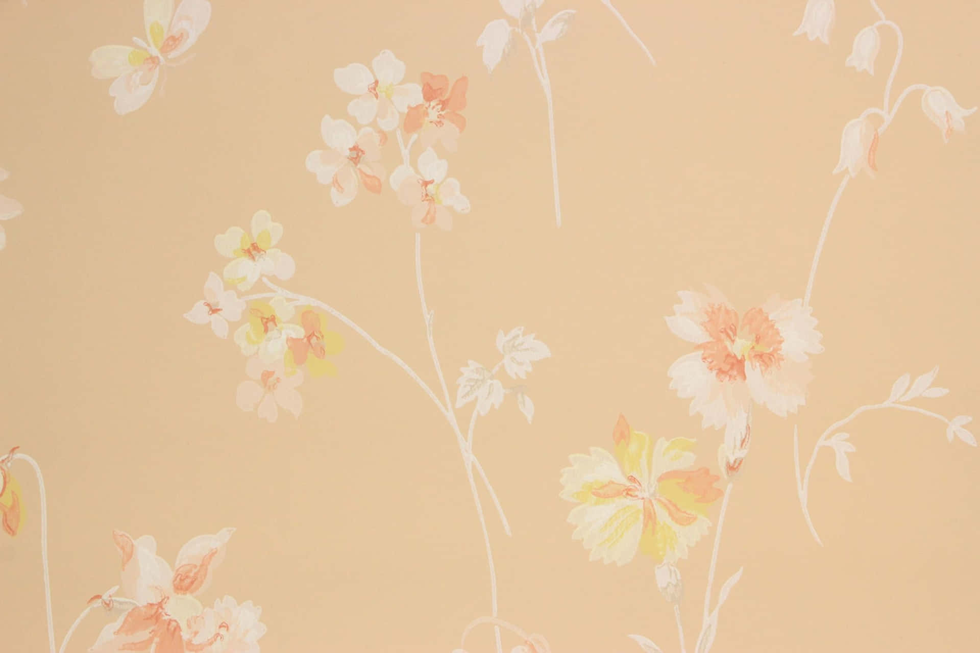 Vintage Peach Flowers Background Background