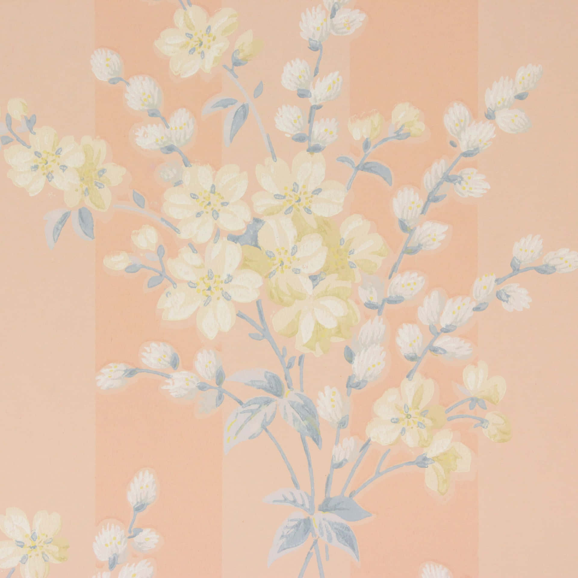 Vintage Peach White Flowers Background