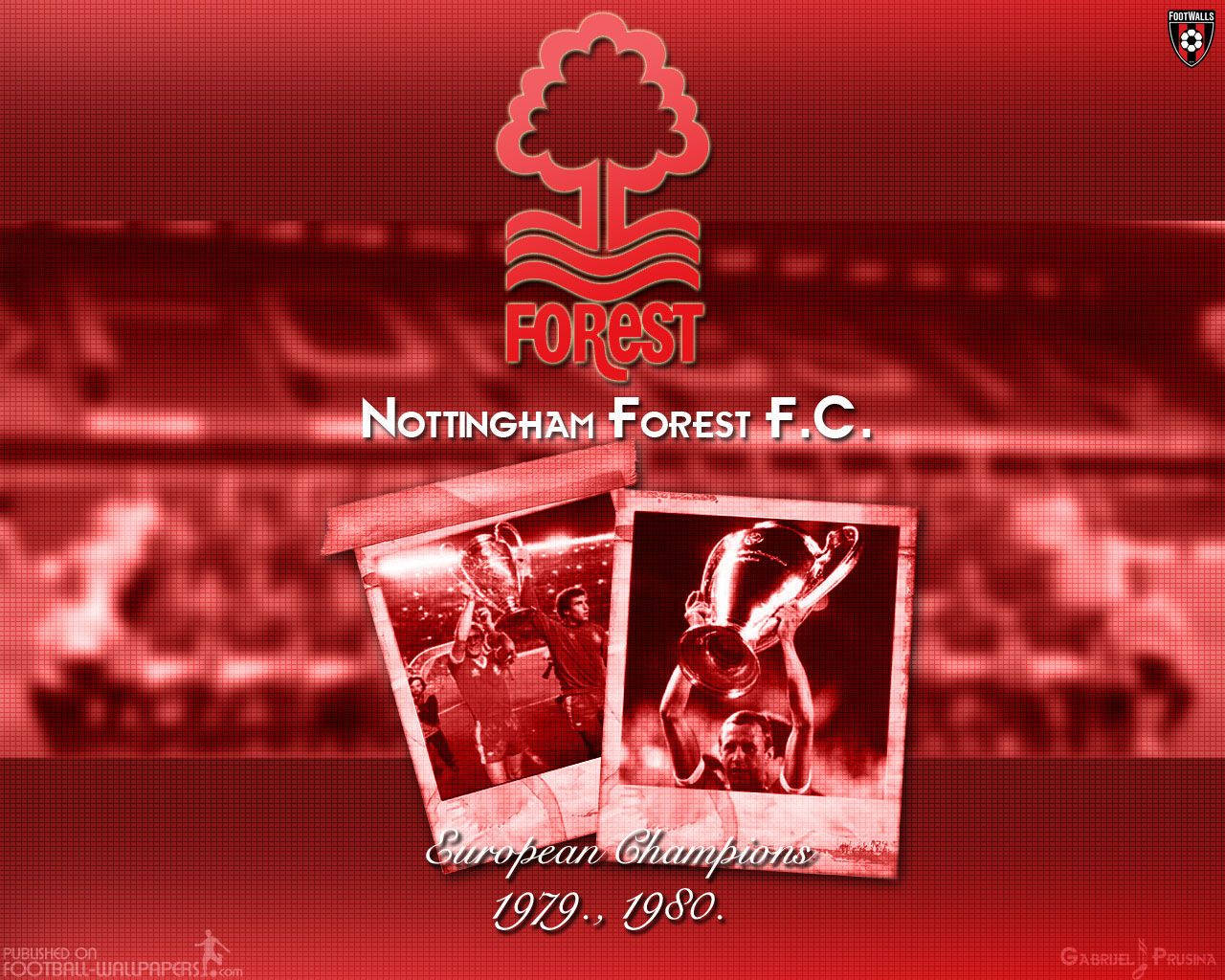 Vintage Polaroid Of Nottingham Forest Fc Stadium Background