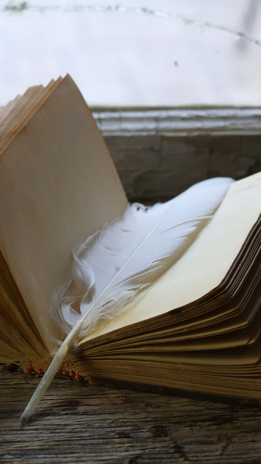 Vintage Quilland Open Book Background