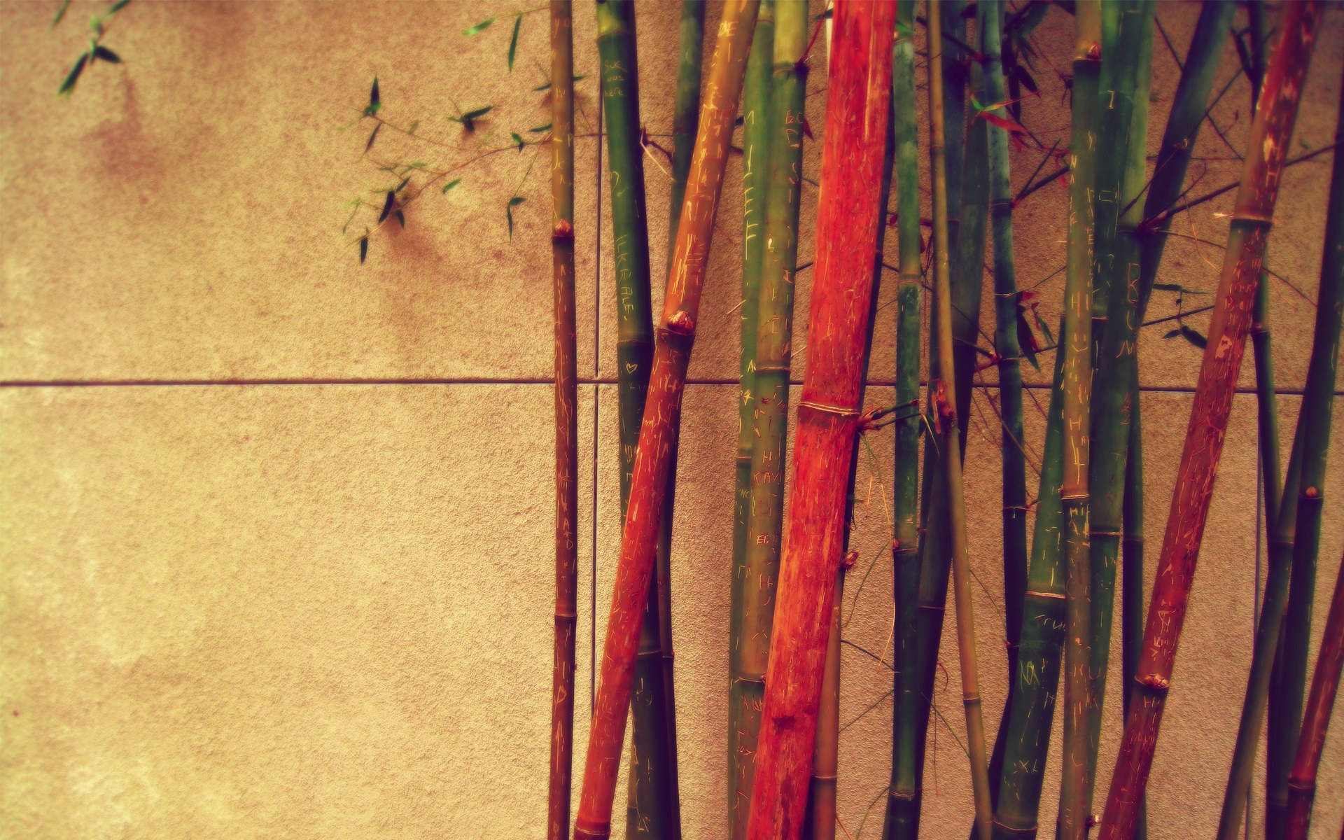 Vintage Red Bamboo Background