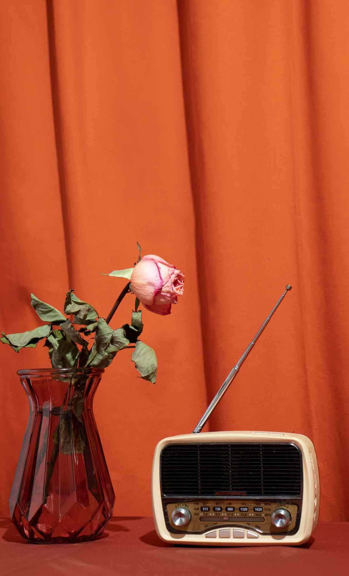 Vintage Roseand Radio Orange Aesthetic.jpg Background