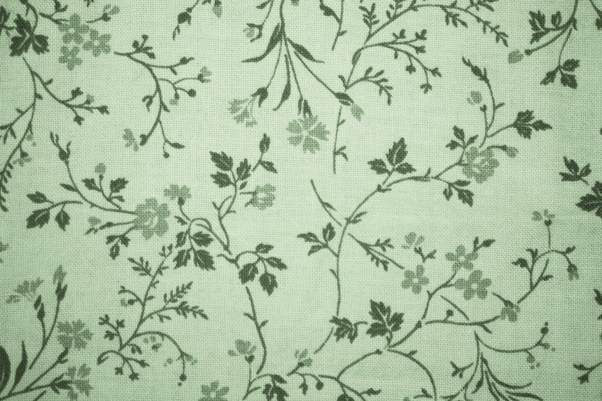 Vintage Sage Green Aesthetic Background