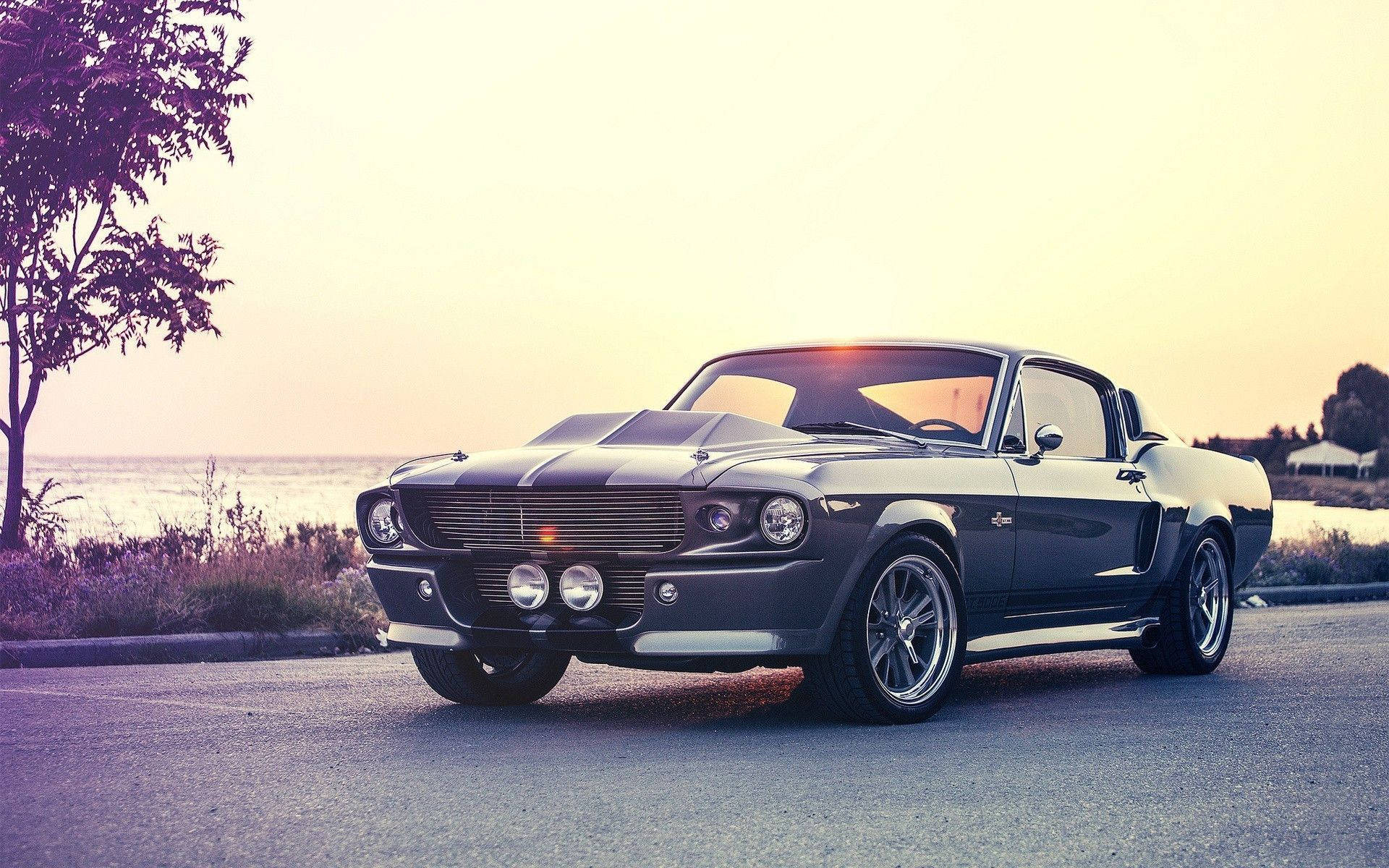 Vintage Shelby Mustang Muscle Car Background