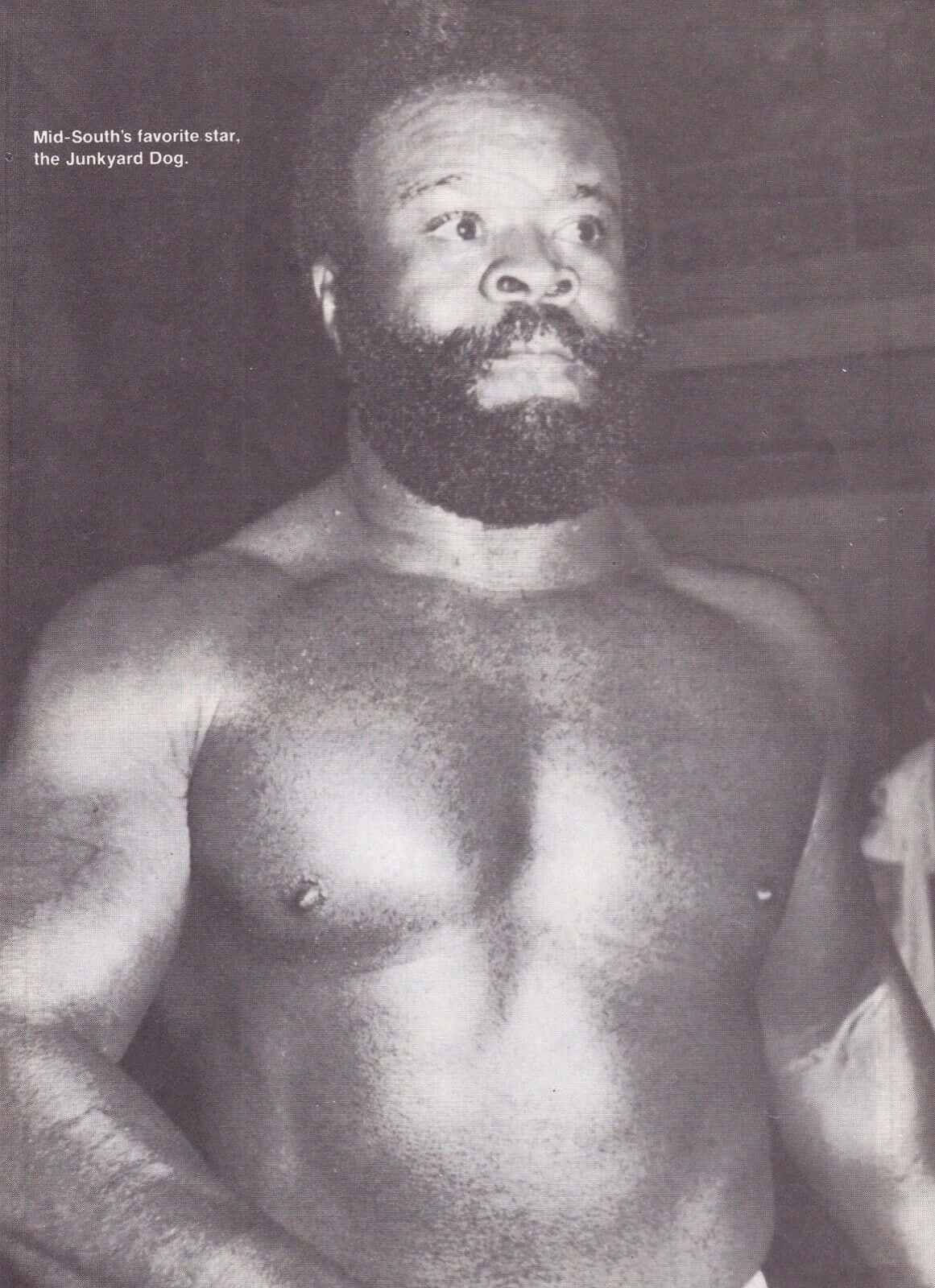 Vintage Shot Of Wrestling Icon, Junkyard Dog Background