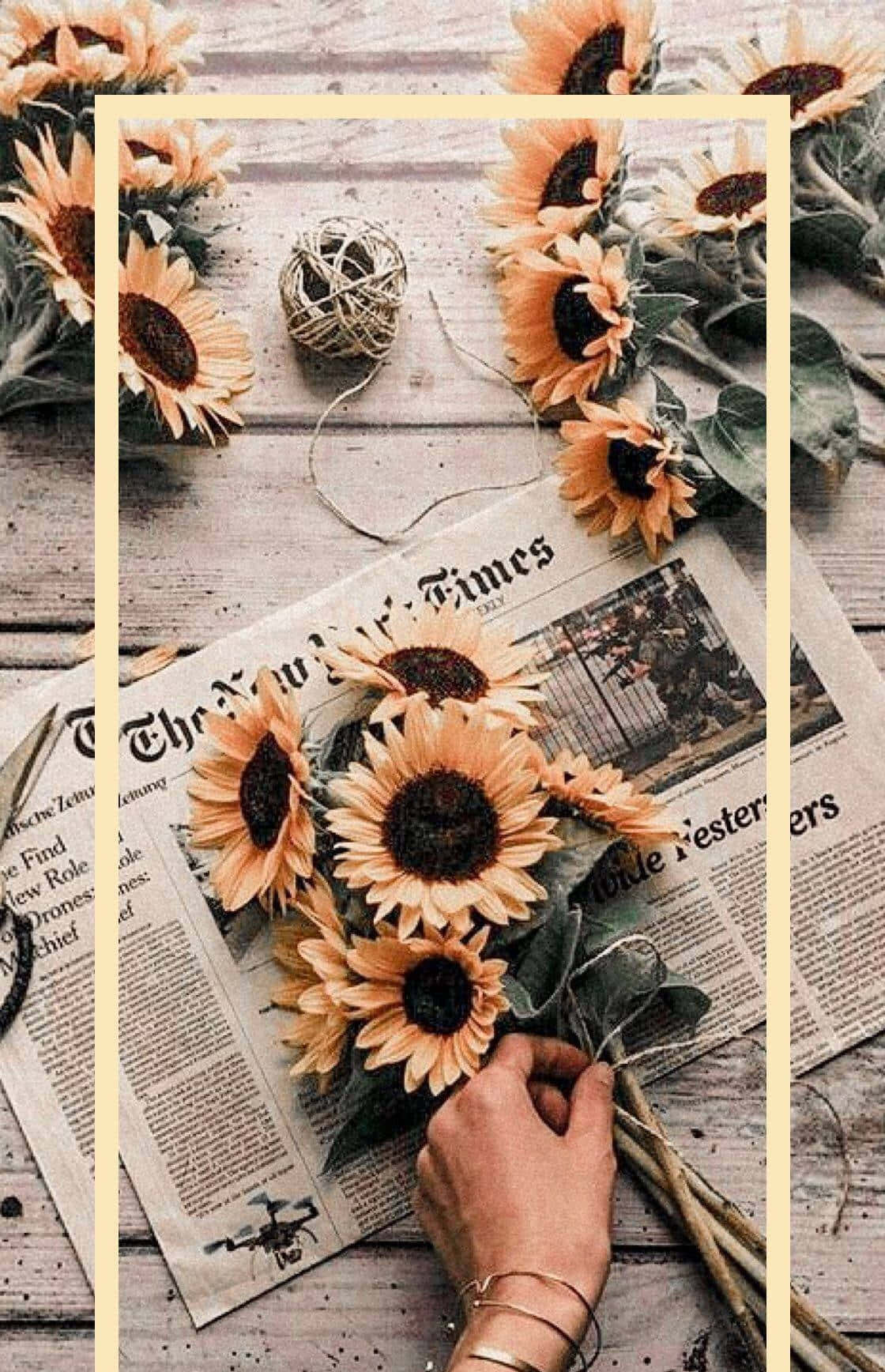 Vintage Sunflower Composition Newspaper Background Background