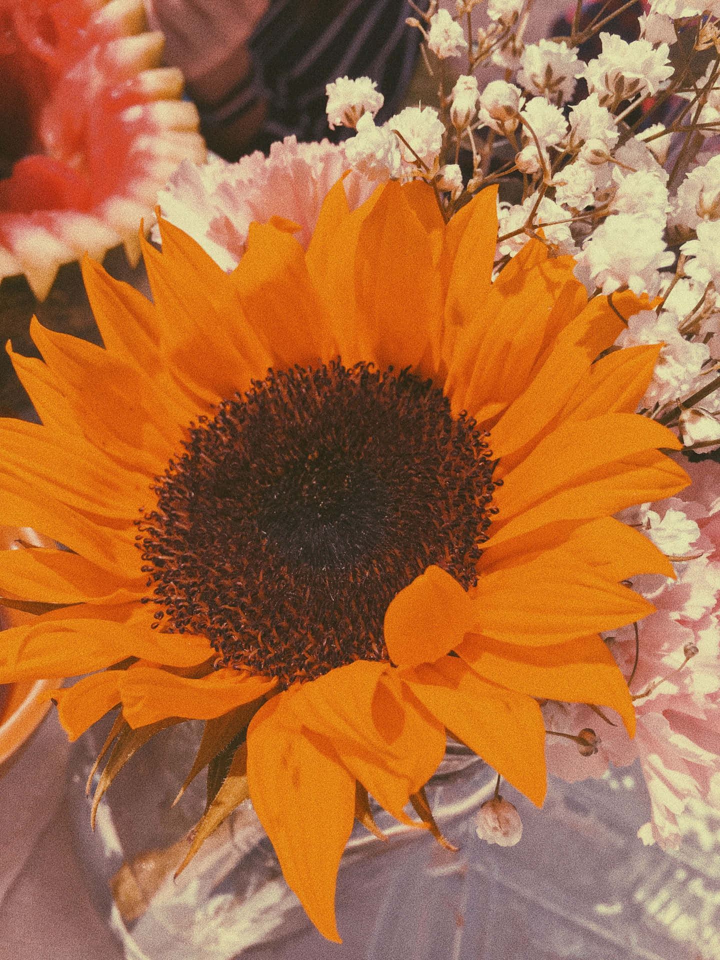Vintage Sunflower Orange Tint Background