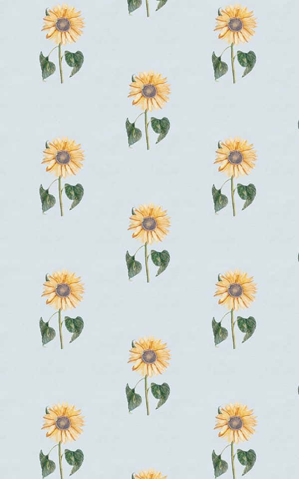 Vintage Sunflower Pattern Background Background