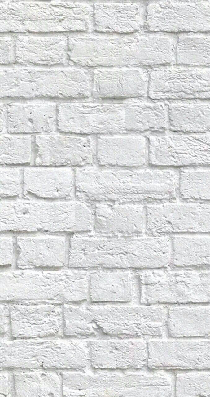 Vintage White Brick Flemish Bond Background