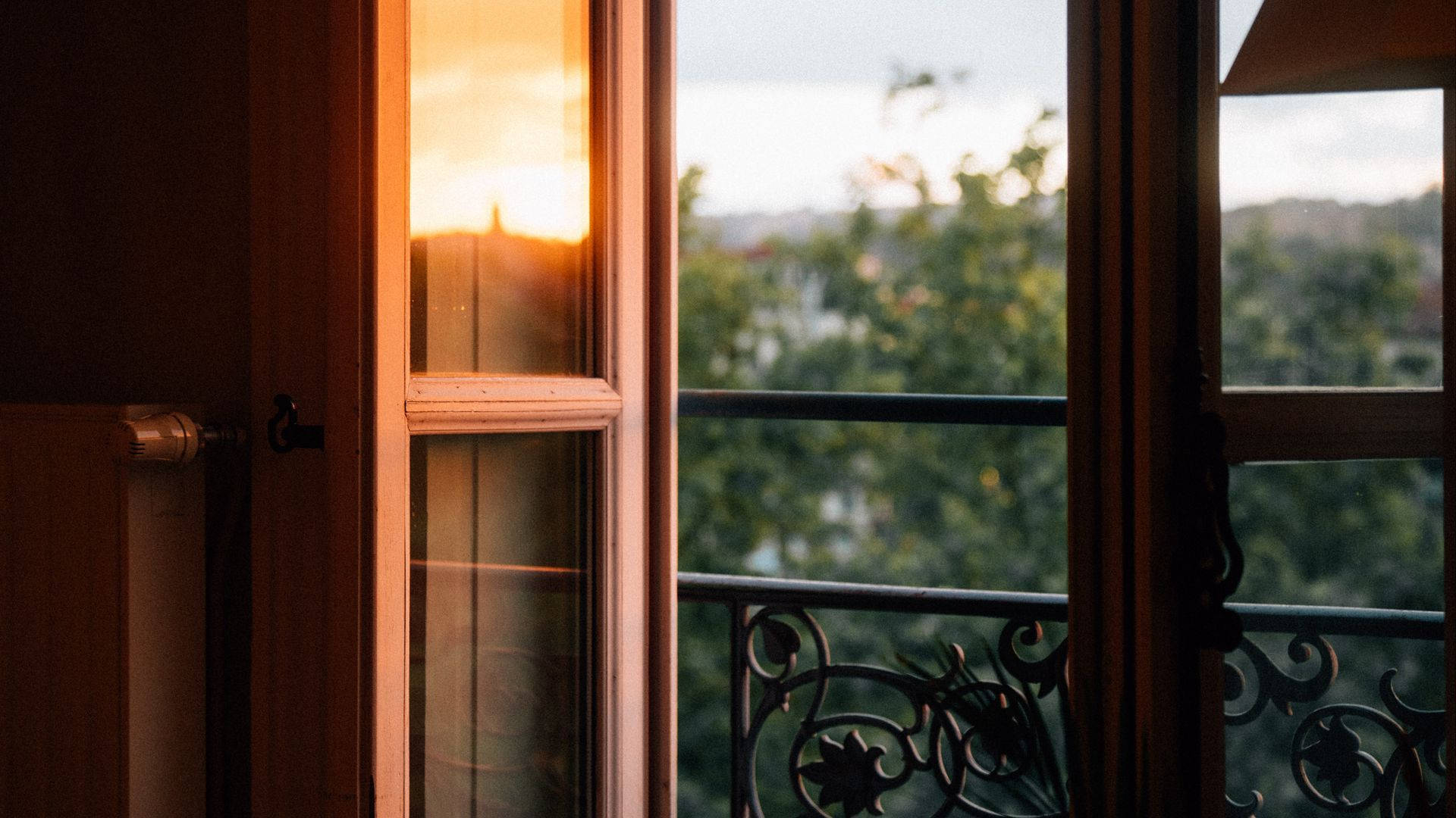 Vintage Window With Morning Glory Vibe