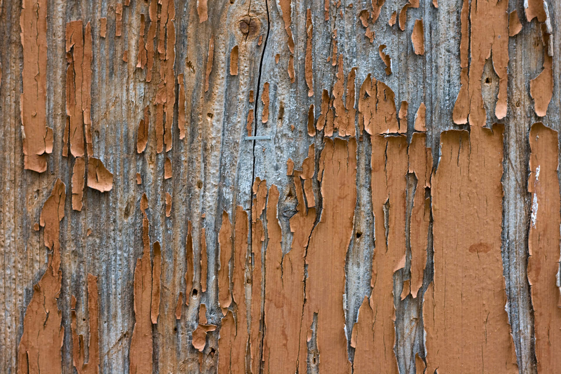 Vintage Wood Texture For Photoshop