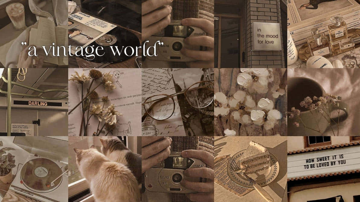 Vintage World Collage Brown Aesthetic Background