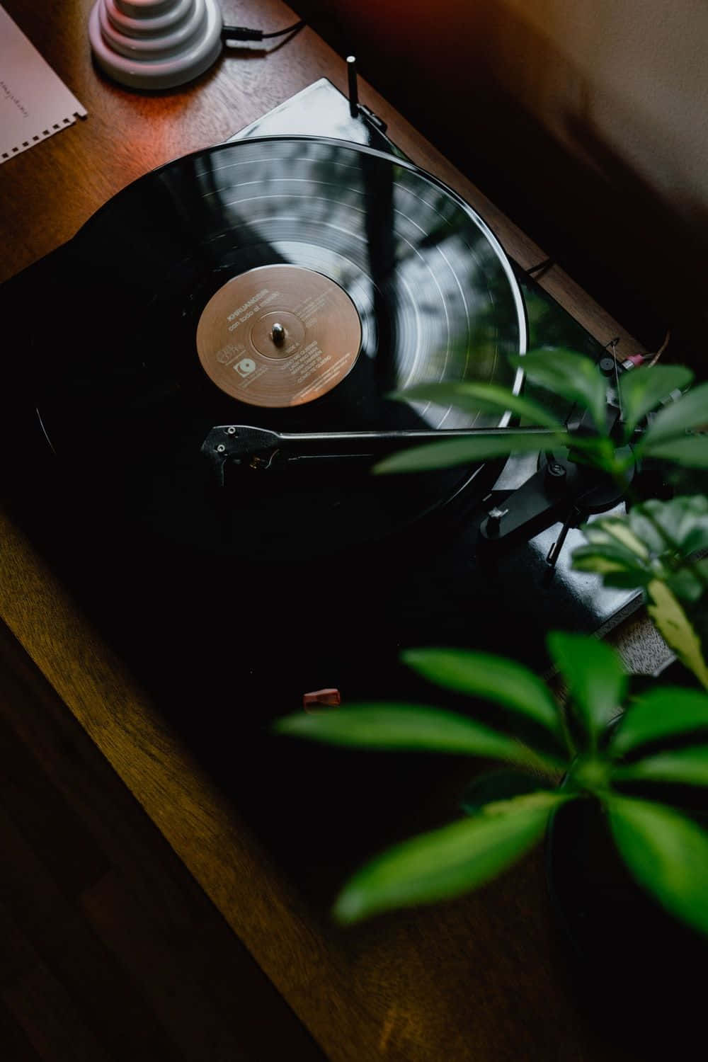 Vinyl Record Calm Vibe Background