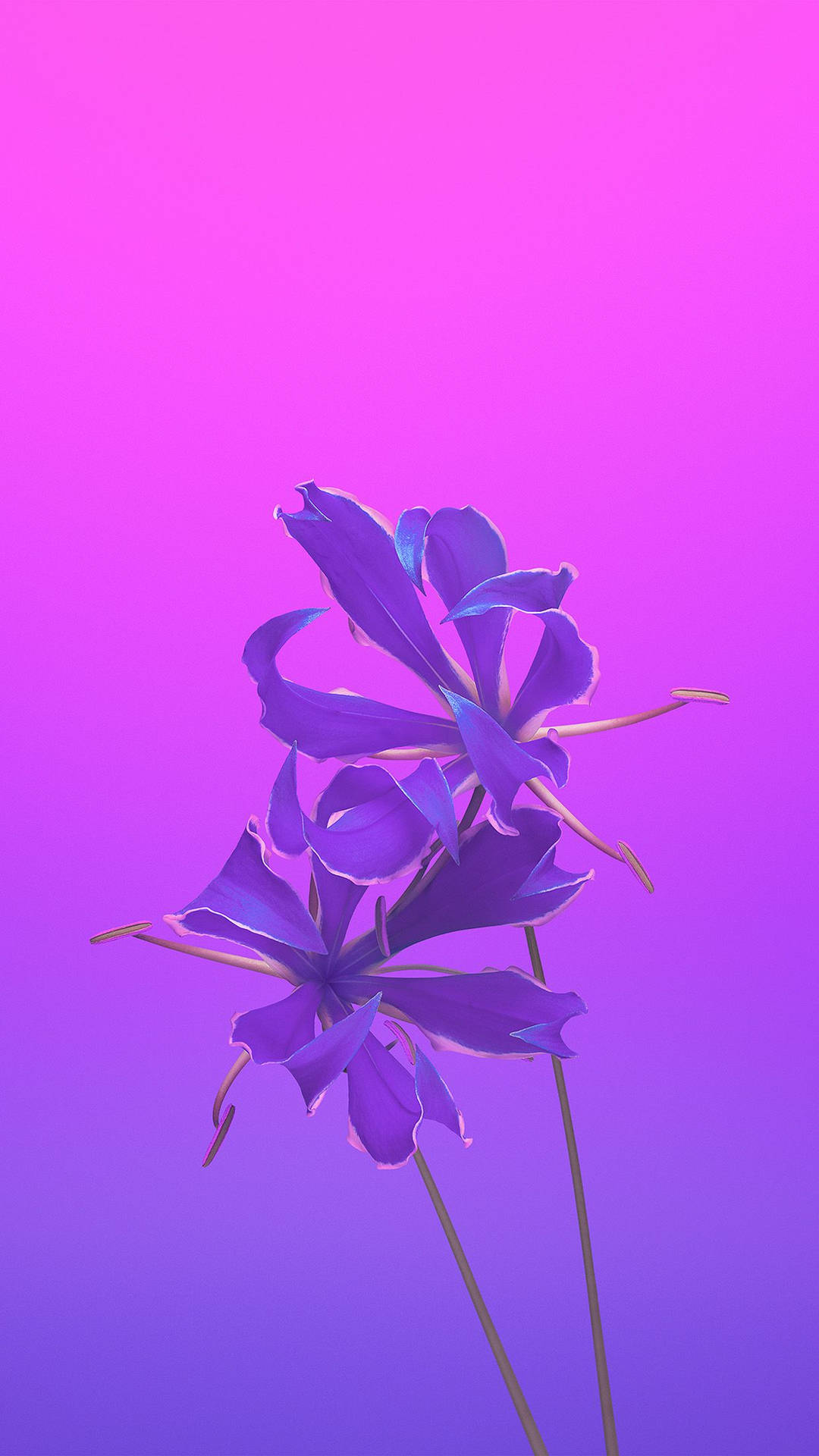 Violet Aesthetic Flower Apple Background