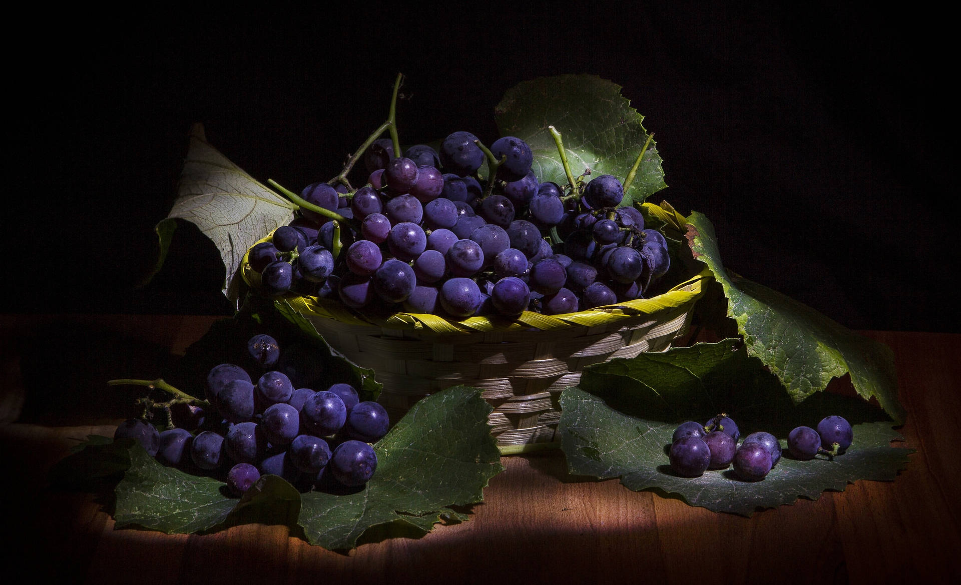 Violet Grape Photography