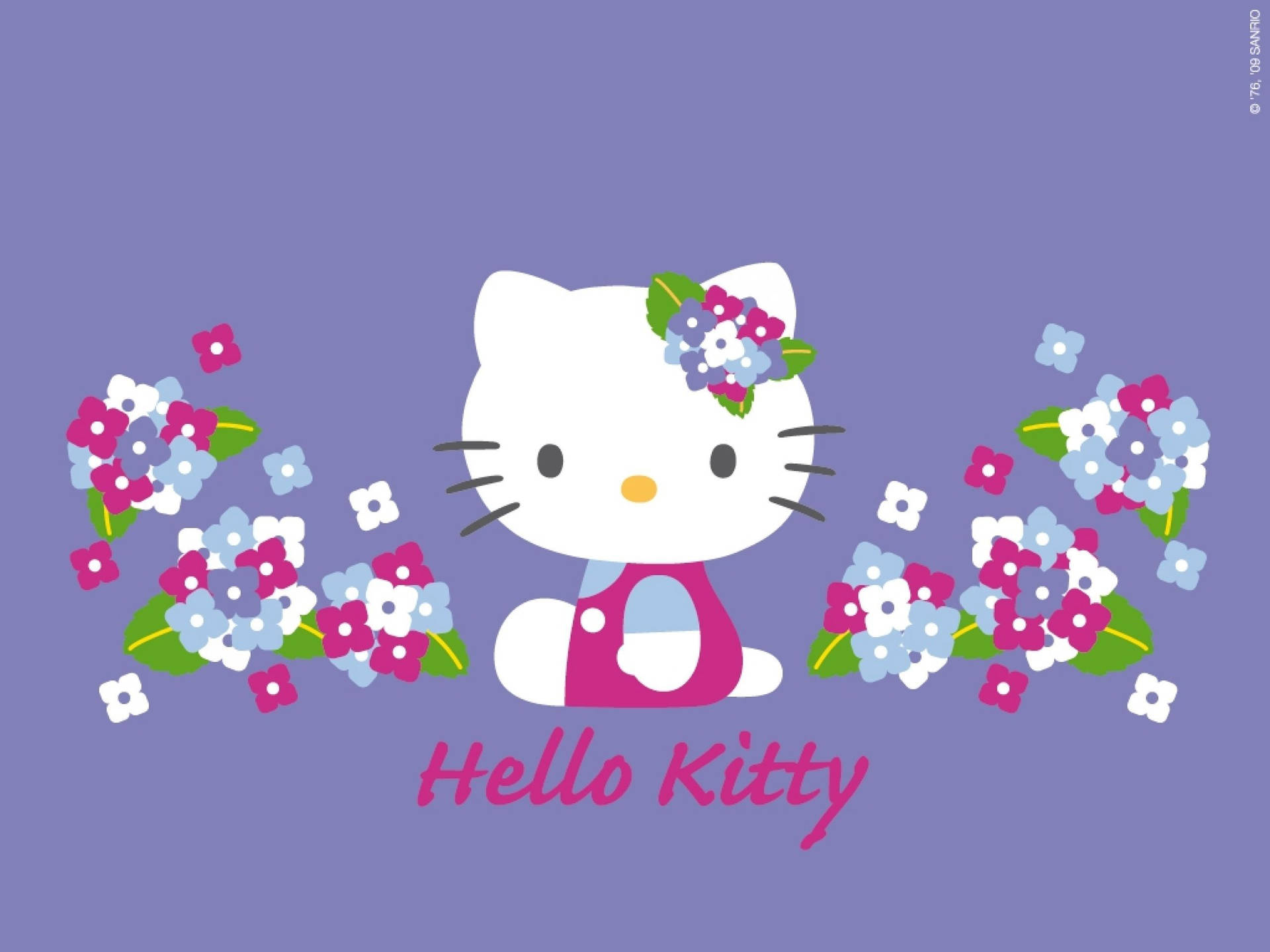 Violet Hello Kitty Desktop