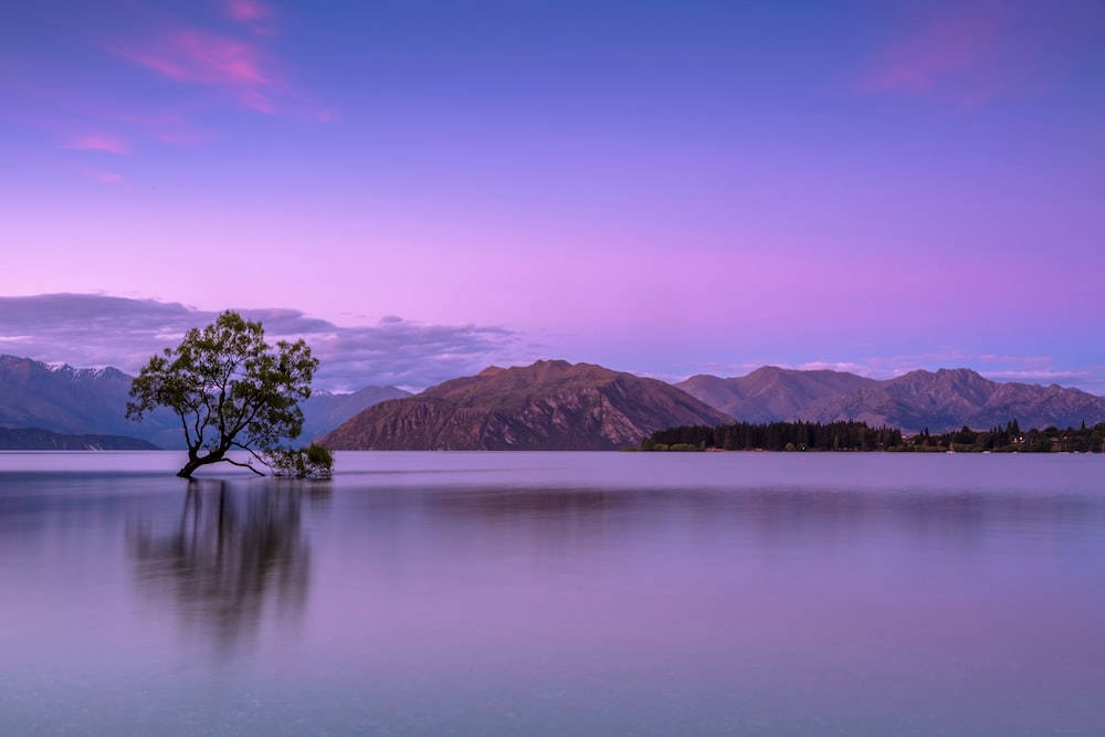 Violet Lake West Maui Mountain Pretty Landscape Background