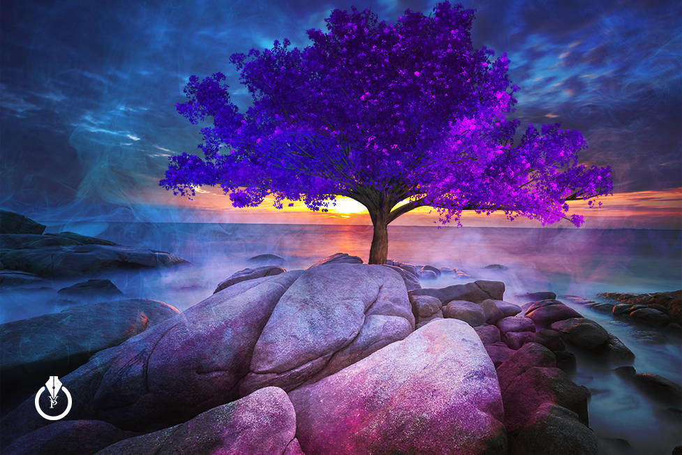 Violet Tree Adobe Photoshop Background