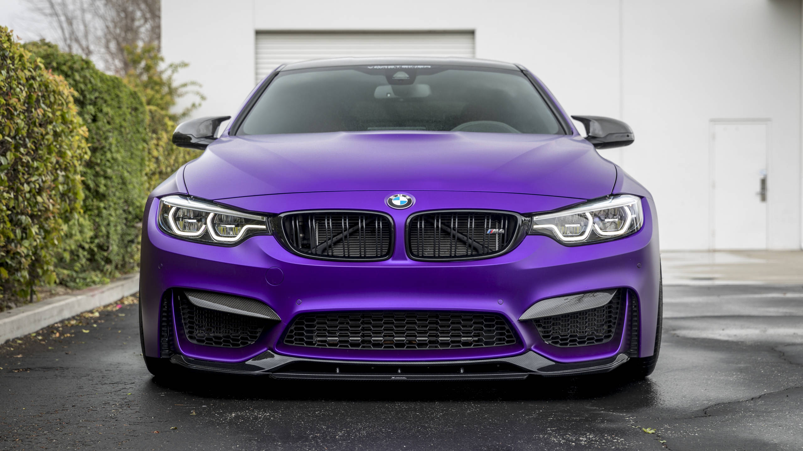 Violet Vorsteiner Full Hd Bmw Background