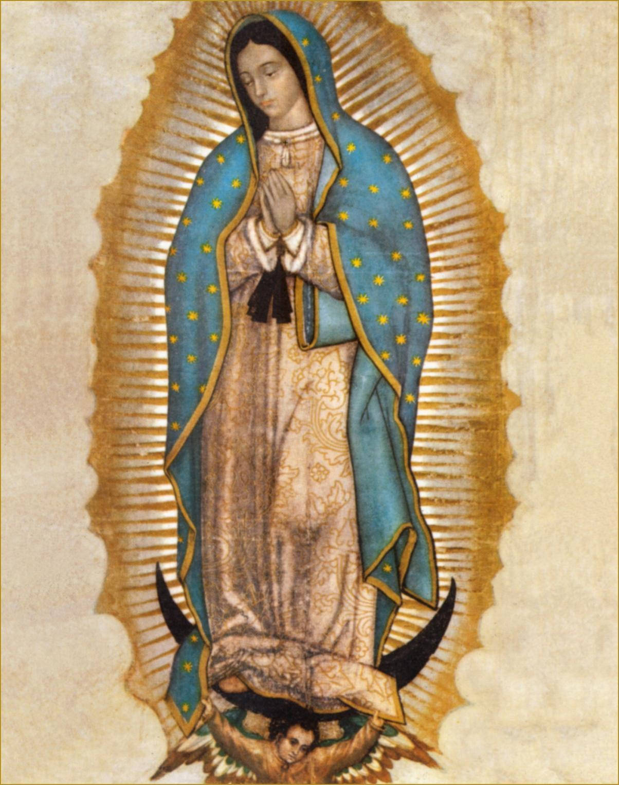 Virgen De Guadalupe Brown Background