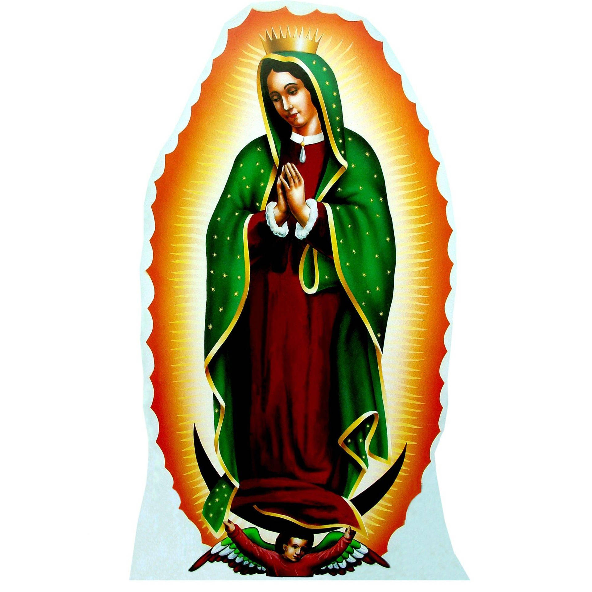 Virgen De Guadalupe Green And Red Background