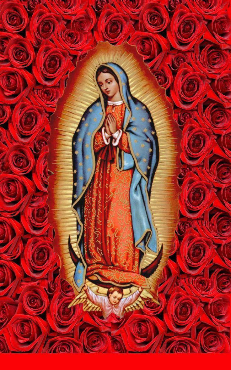 Virgen De Guadalupe Red Roses Background