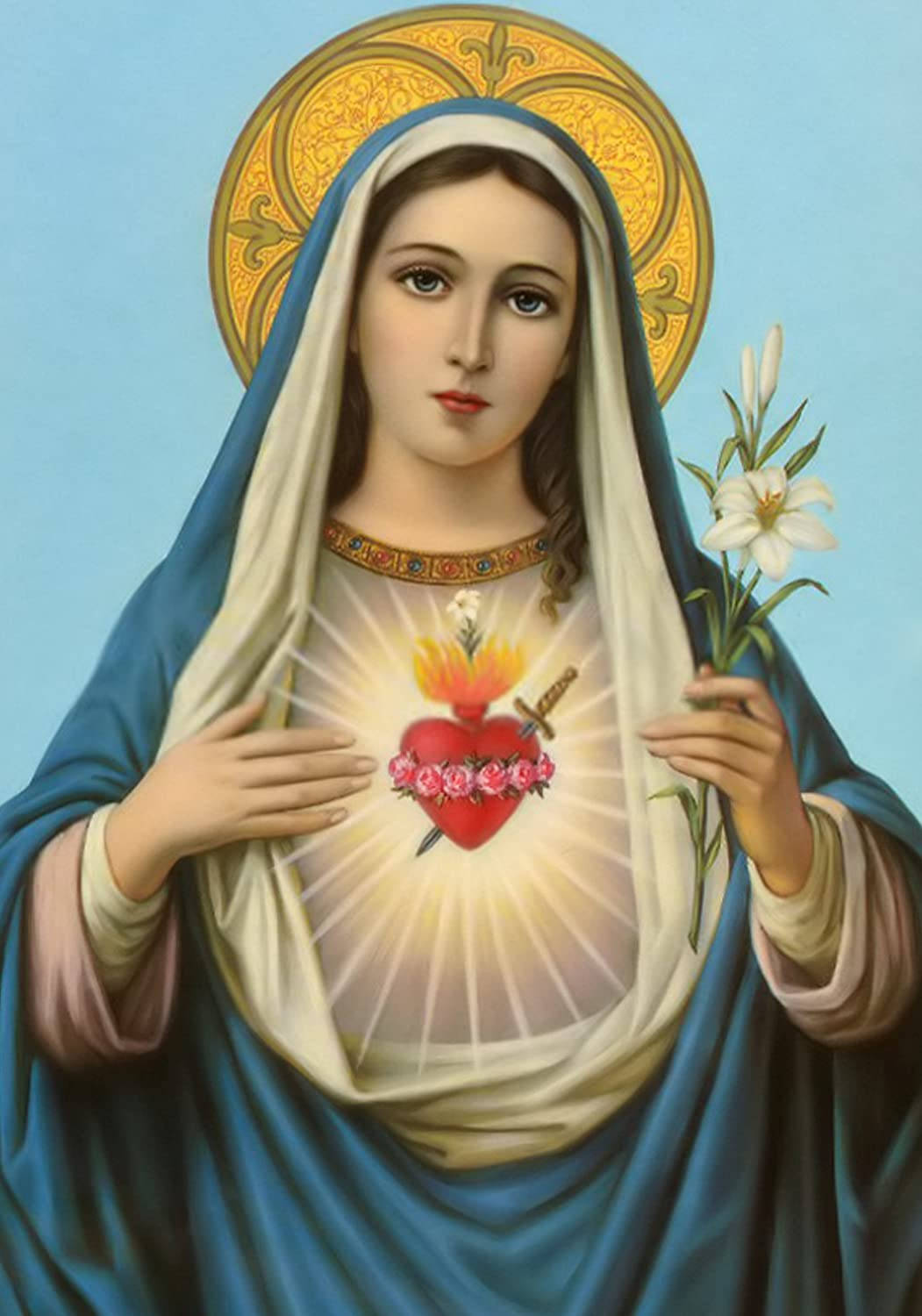 Virgin Mary With A Rose Heart Background