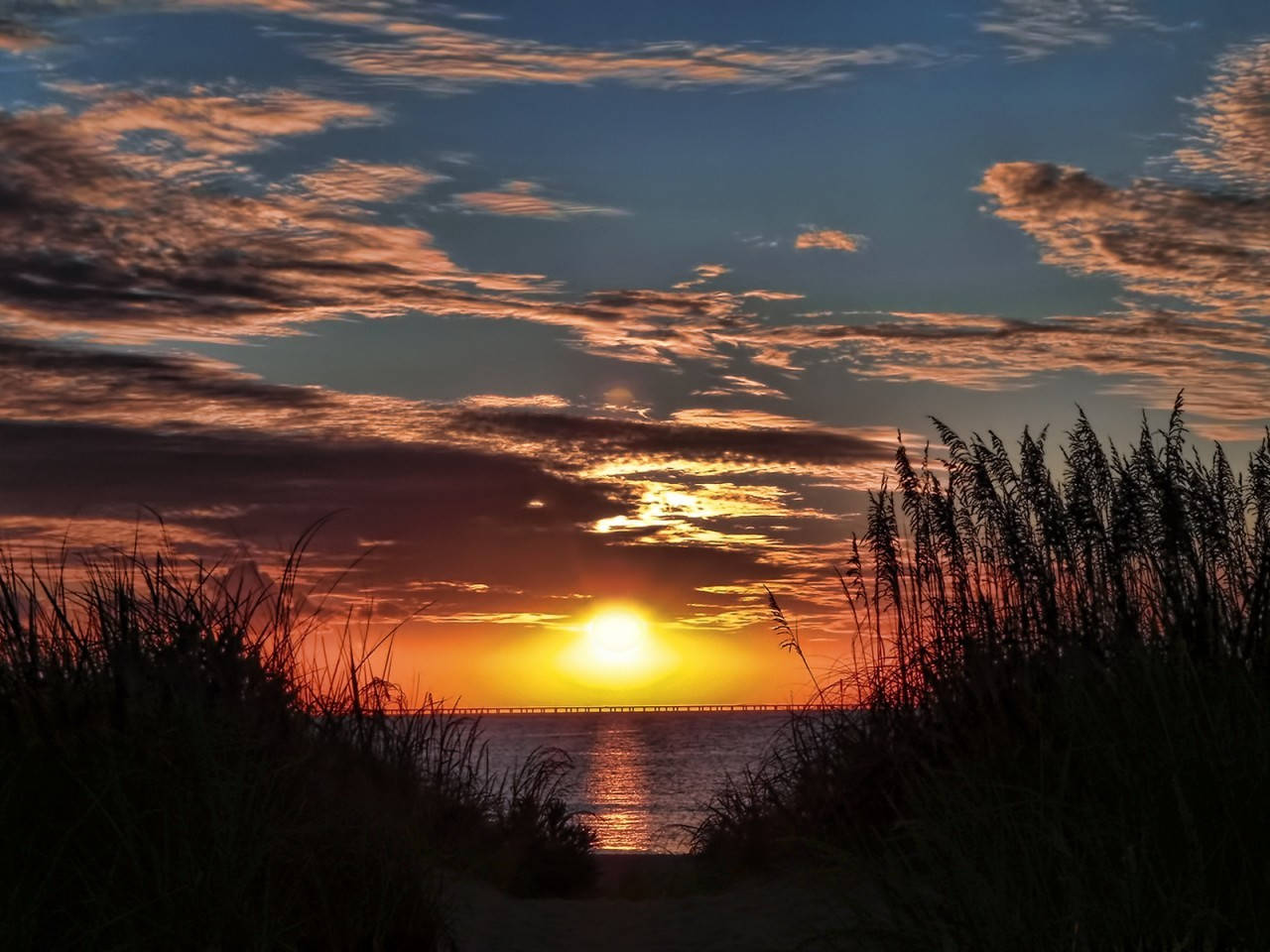 Virginia Beach Sunset Tall Grass Background