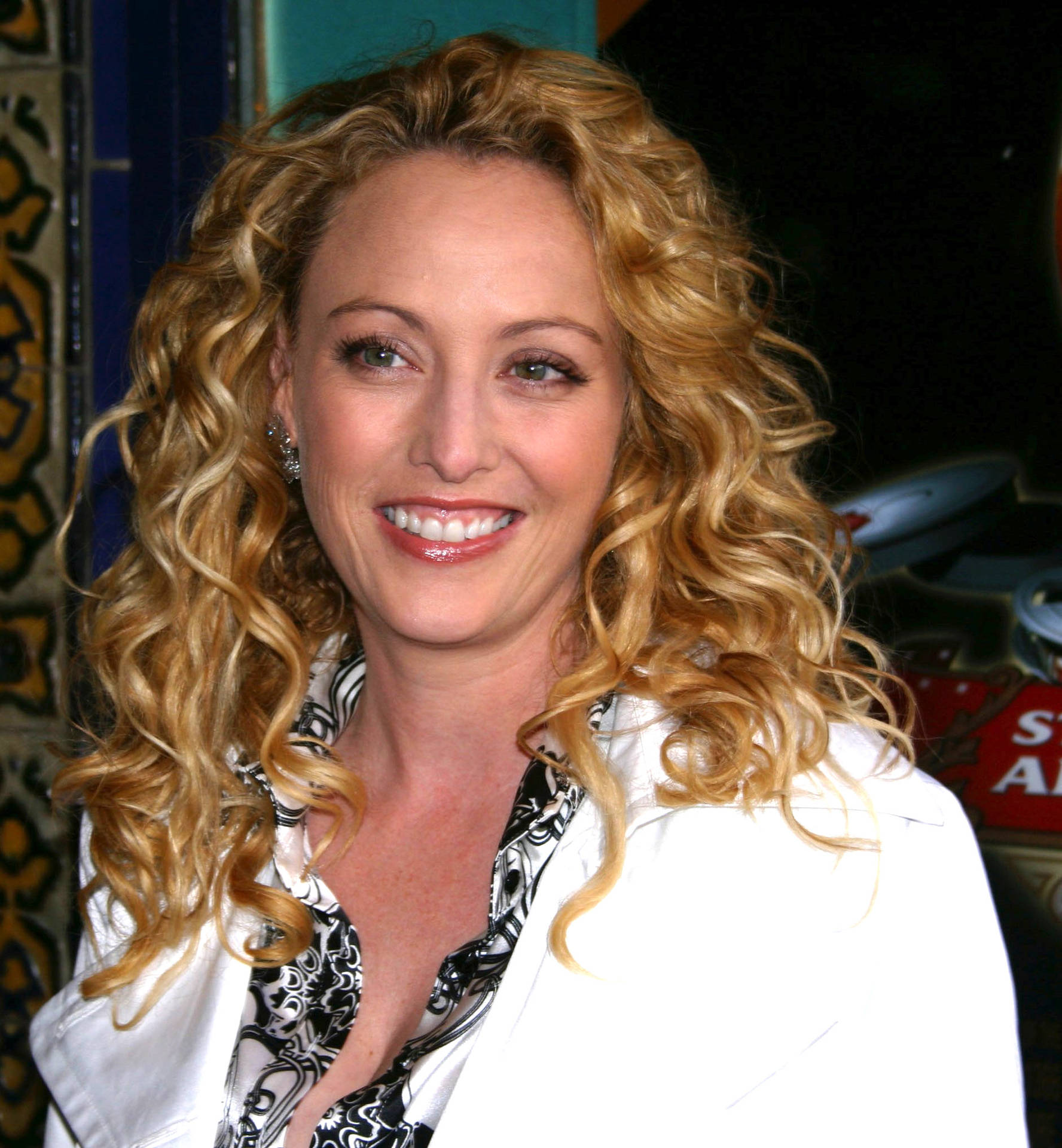 Virginia Madsen Hollywood Celebrity Actress Background