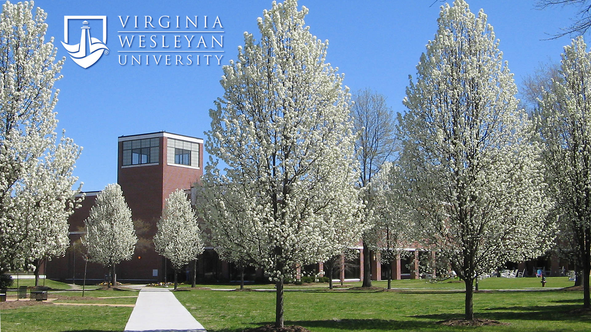 Virginia Wesleyan University Background