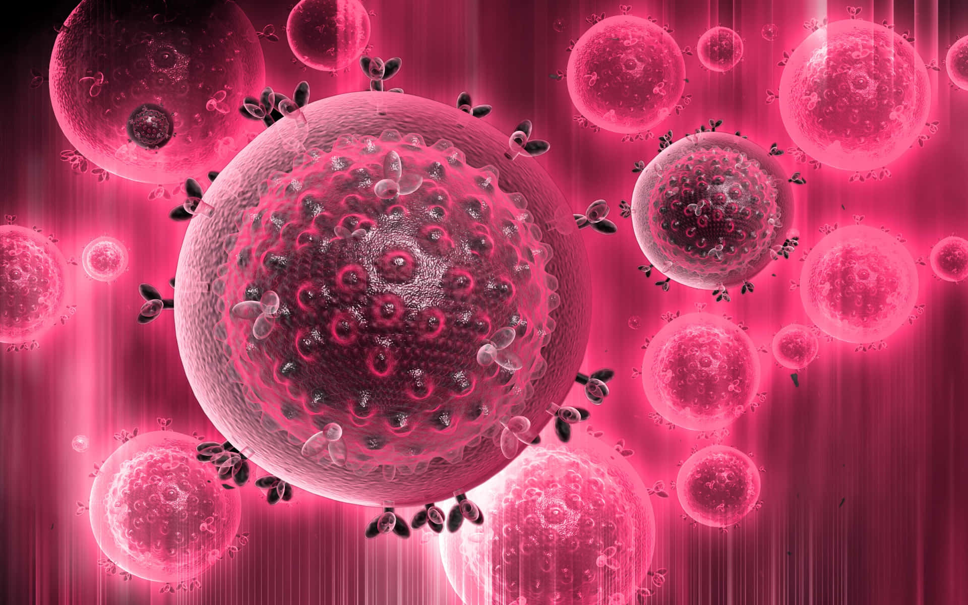 Virulent Virus In Pink Background