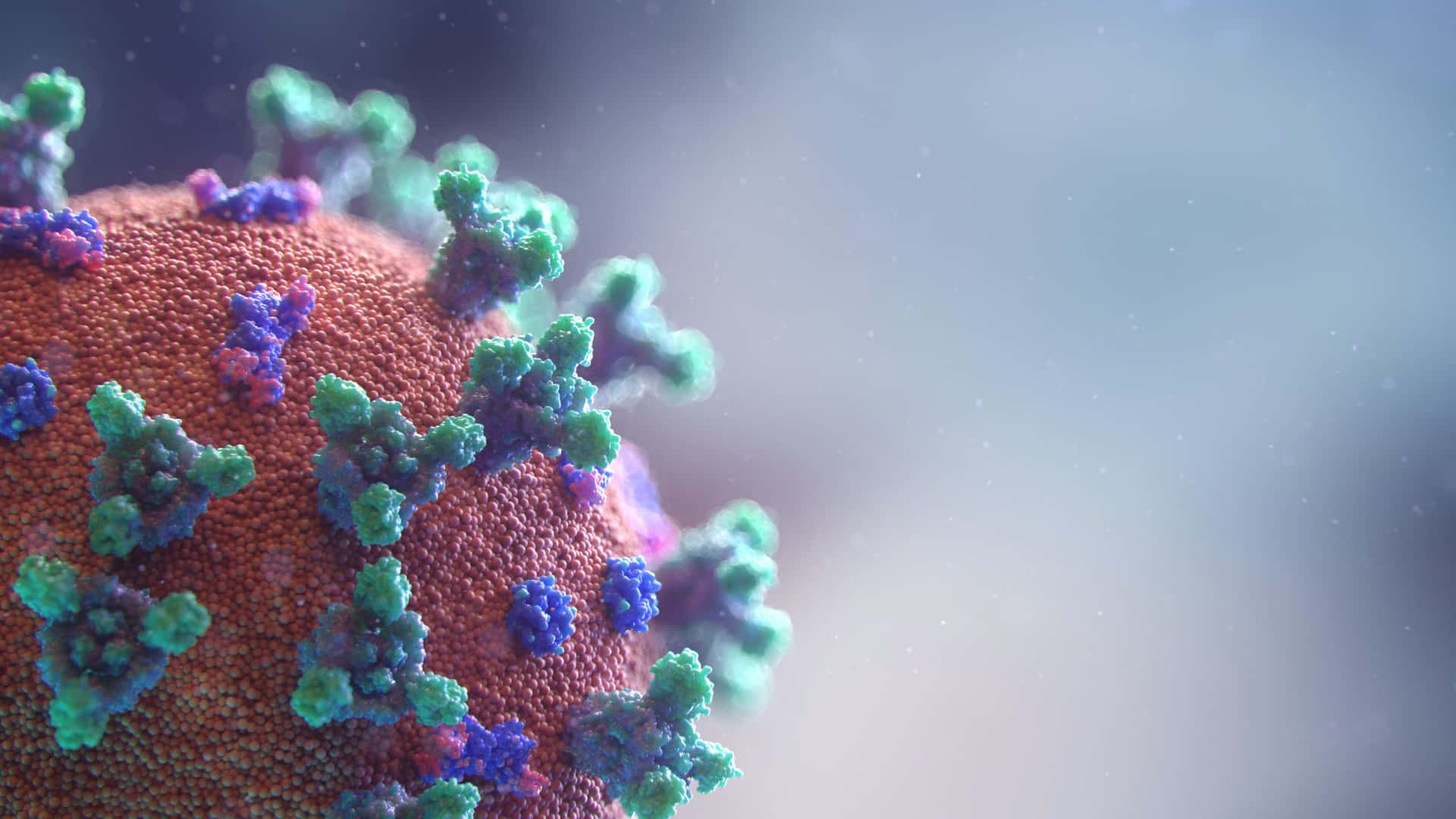 Virulent Virus In Red And Blue Background