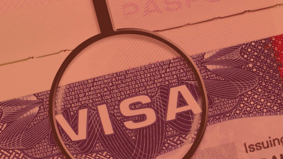 Visa Logo Magnified Background